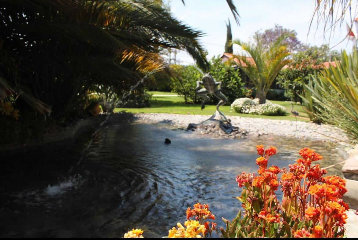 Hotel Palmas Teotihuacan San Juan Teotihuacán Eksteriør billede